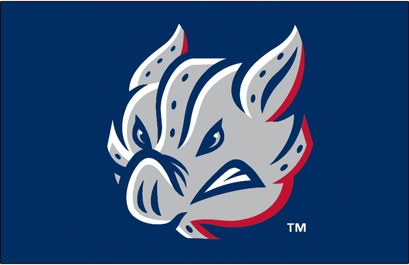 Lehigh Valley IronPigs 2014-Pres Cap Logo v3 iron on heat transfer